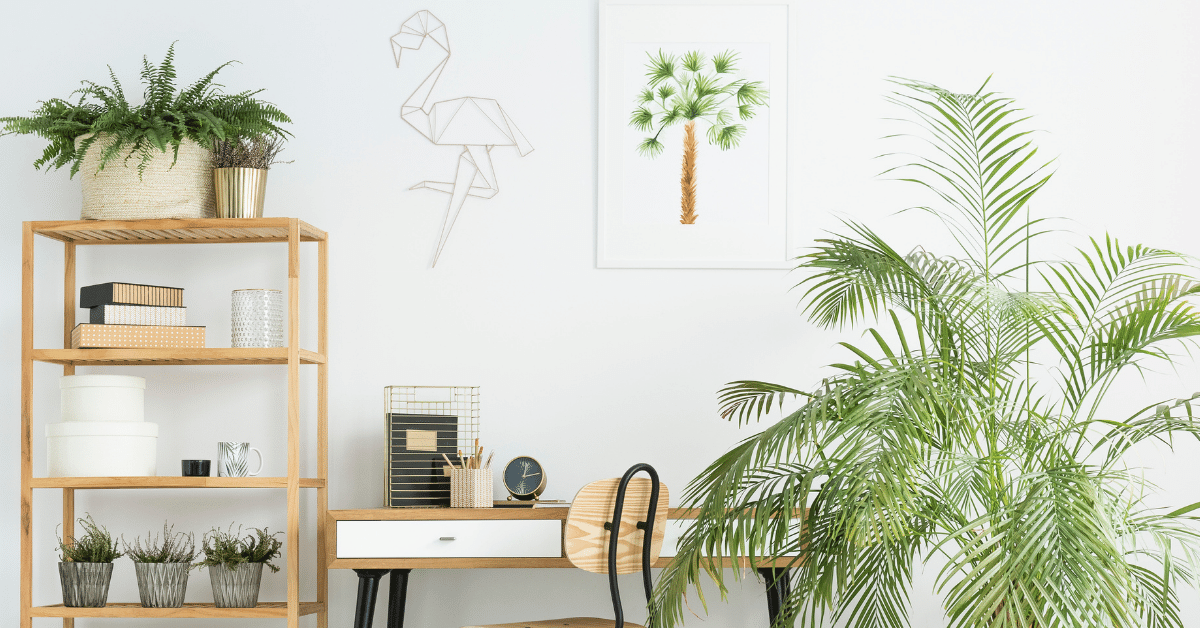 Image of a work space area with a desk and floor plant.| Purely Write