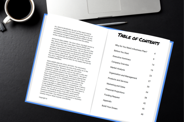 Image of the Table of Contents for the eBook titled "How to Write an Effective Business Plan".| Purely Write